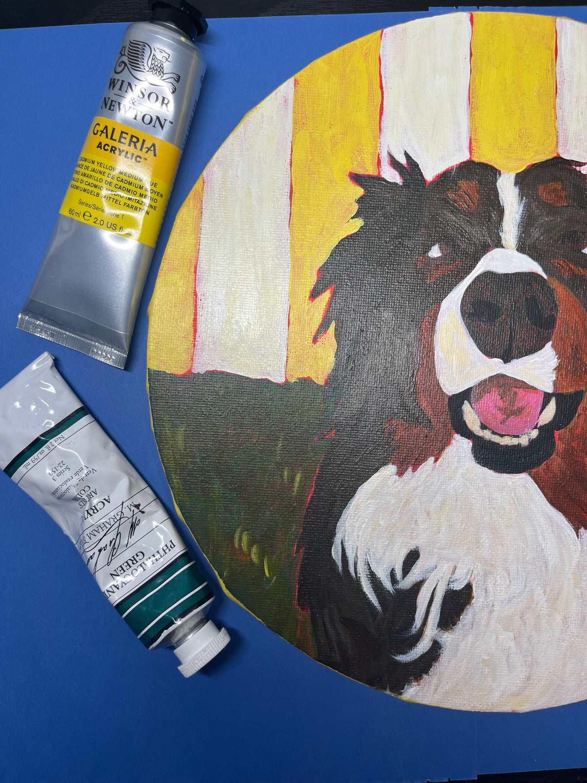 Pet Portrait Commission - 25 x 25cm Circular Canvas